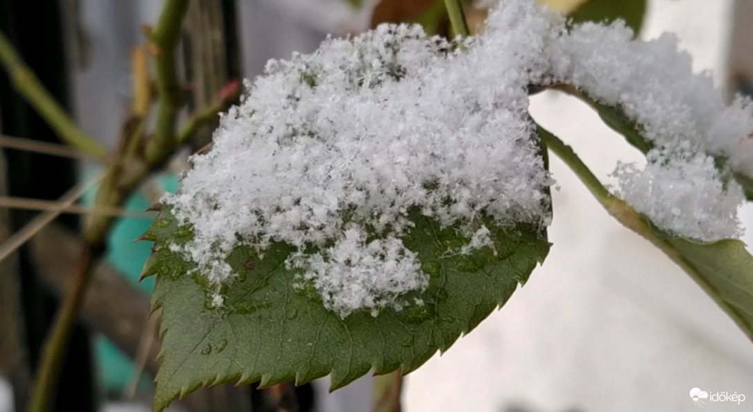 Az év első havazása után 