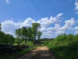 Pintér-hegyen