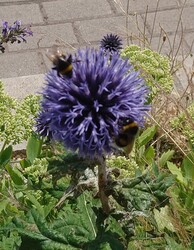 "Dolgos" nyári napforduló