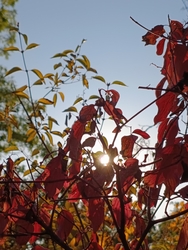 Itt van az ősz, itt van újra