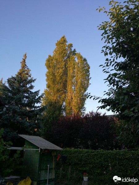 Észlelési fényképek