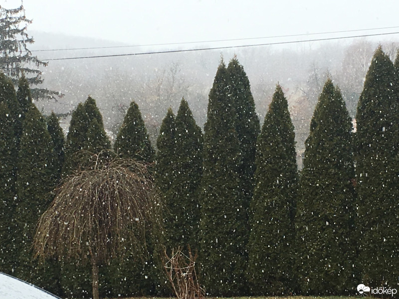 Észlelési fényképek