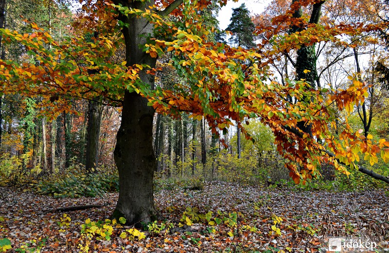 november