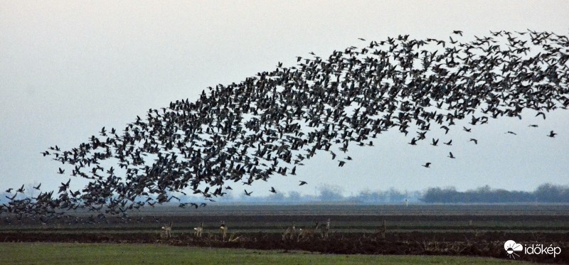  Körös-Maros Nemzeti Park