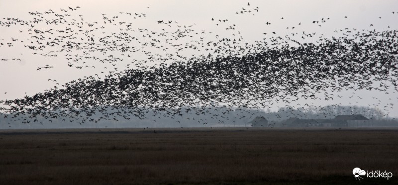  Körös-Maros Nemzeti Park