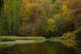 Őszi mesevilág a Bükkben -2