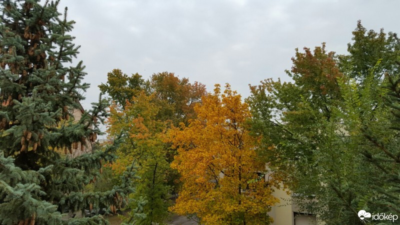 Kecskemét