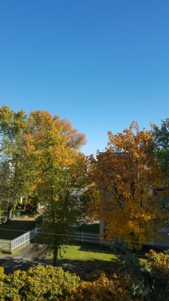 Kecskemét