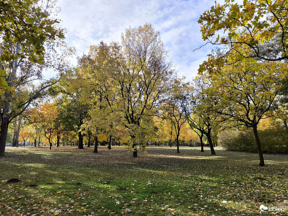 Budapest XV.ker - Pestújhely