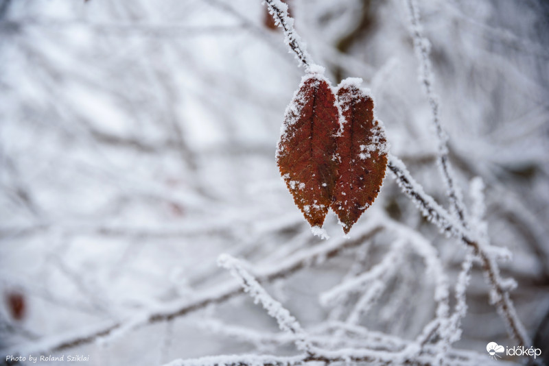 Együtt hóban-rosszban!