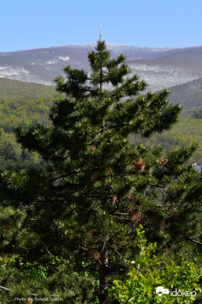 Boldog Karácsonyt Kívánok! :-)