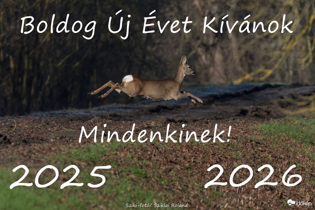 Boldog Új Évet Kívánok! :-)