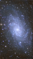 Triangulum Galaxis (M33)