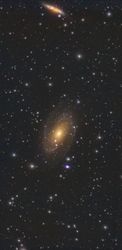 Bodes Galaxis (M81)