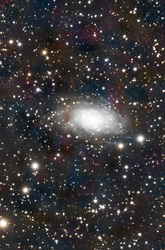 NGC2403