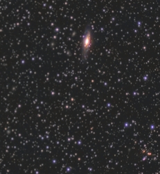 NGC7331