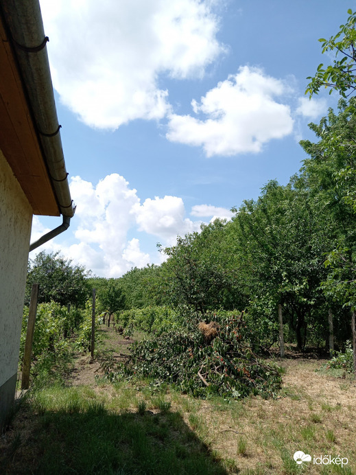 Észlelési fényképek