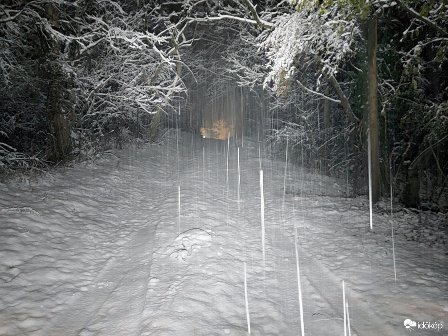 Csodás téli ❄️esés 