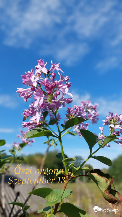 Természet csodái 1