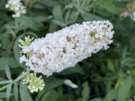 Még mindig nagyon szép! 