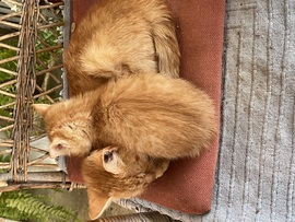 Melegítjük egymást!:)