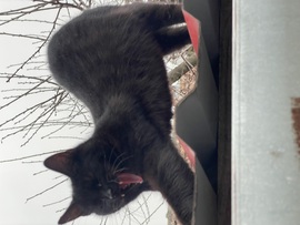 De unalmas ez a nap…