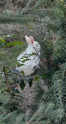 Vajon megfognak találni???:))