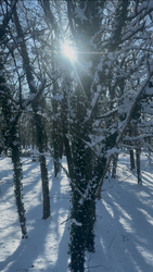 Bekukucskált a nap:)