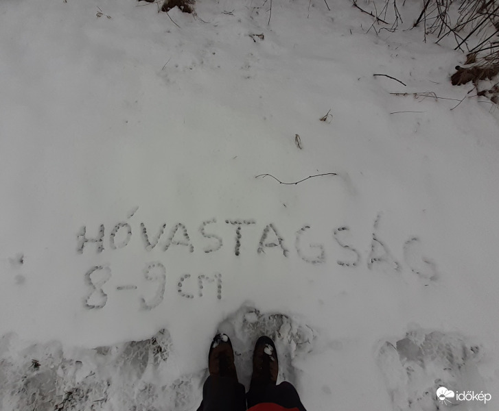 Az erdő szélén, 312 méteres magasságban közel 10 cm hó hullott.