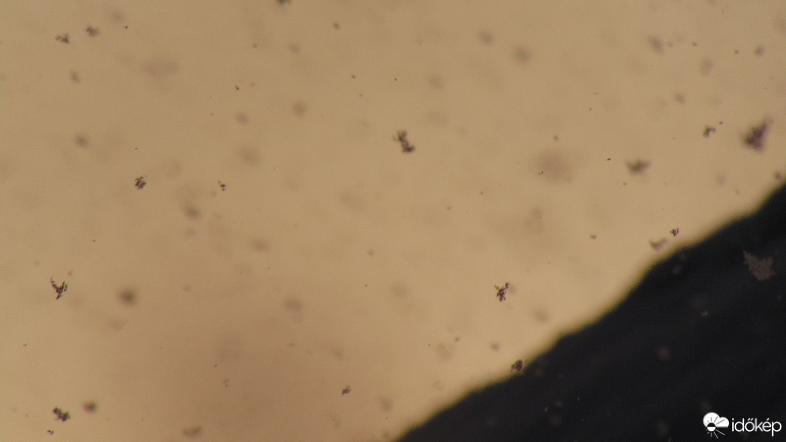 Statikus zuhanórepülés