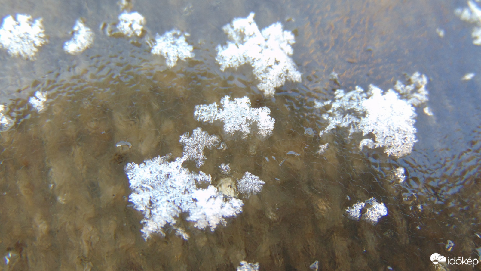 Életben maradtak, avagy akik még a jég hátán is megélnek.