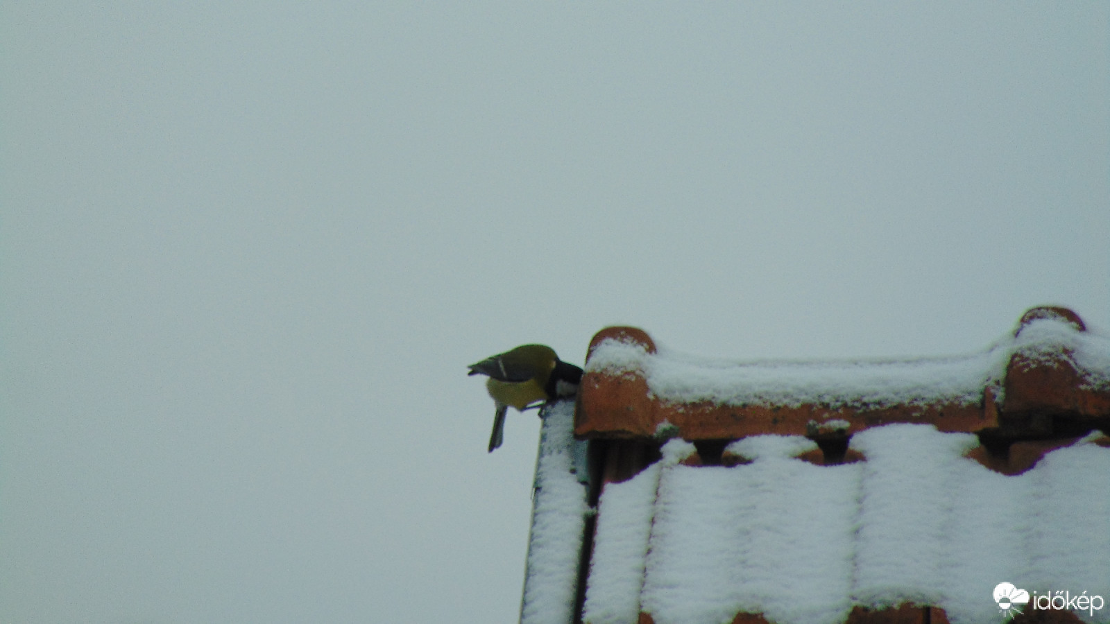 Hahó, van itt bent valaki!?