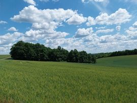 szupercella22 fotója