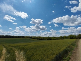 szupercella22 fotója
