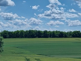 szupercella22 fotója