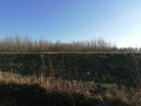 Tiszajenő
