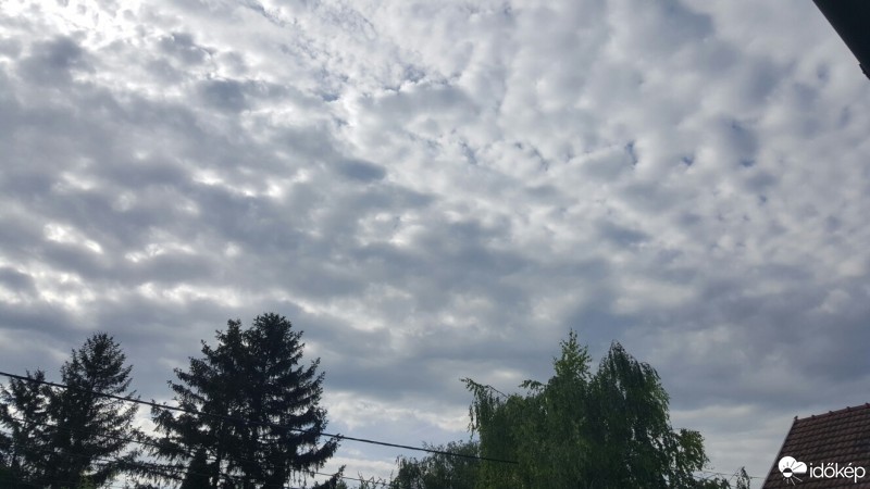 Észlelési fényképek