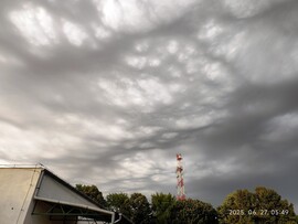 Makó
