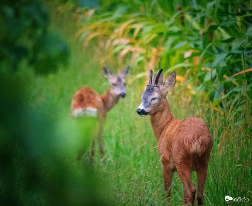 Brrrr micsoda idő :) 
