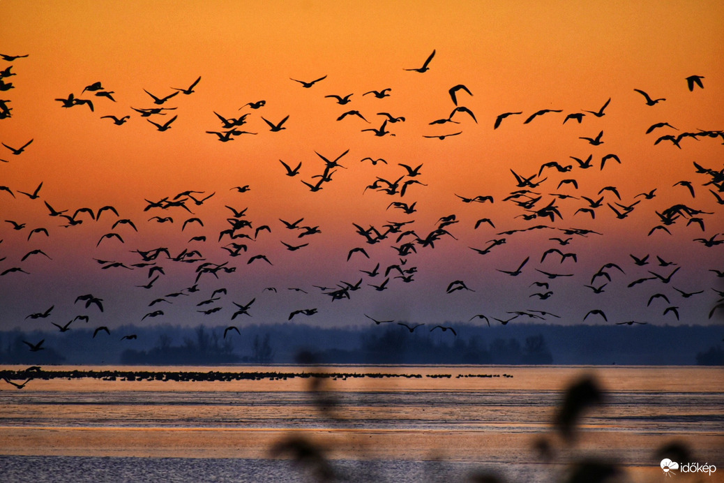 Fagyos reggeli aranyóra 