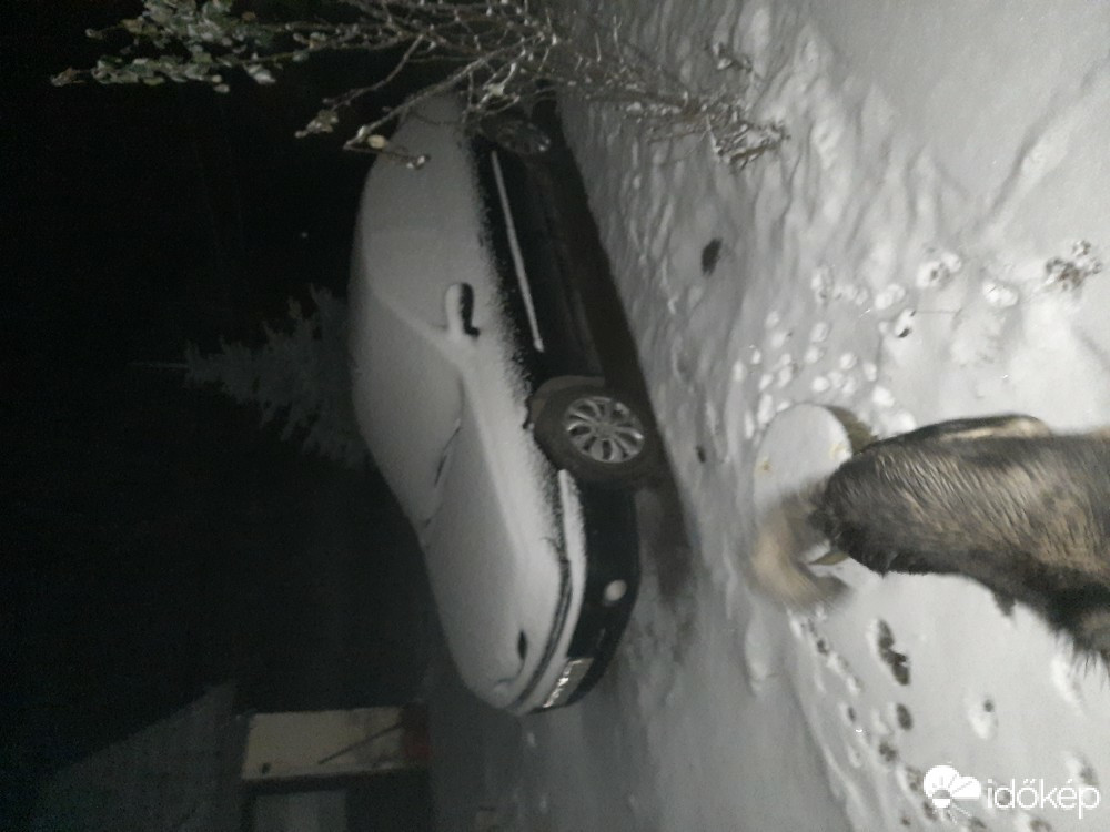 Észlelési fényképek