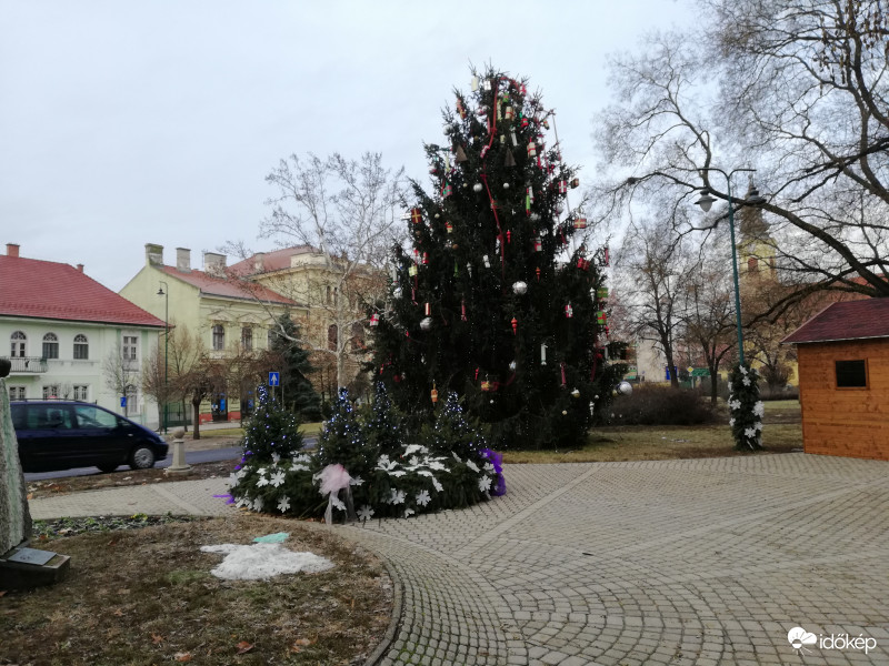 Békés Város karácsonyfája 