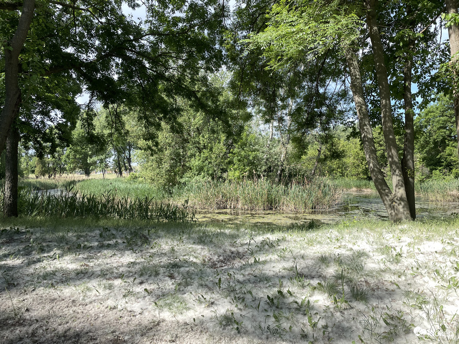 Természet