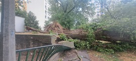 Debrecen szélvihar után 