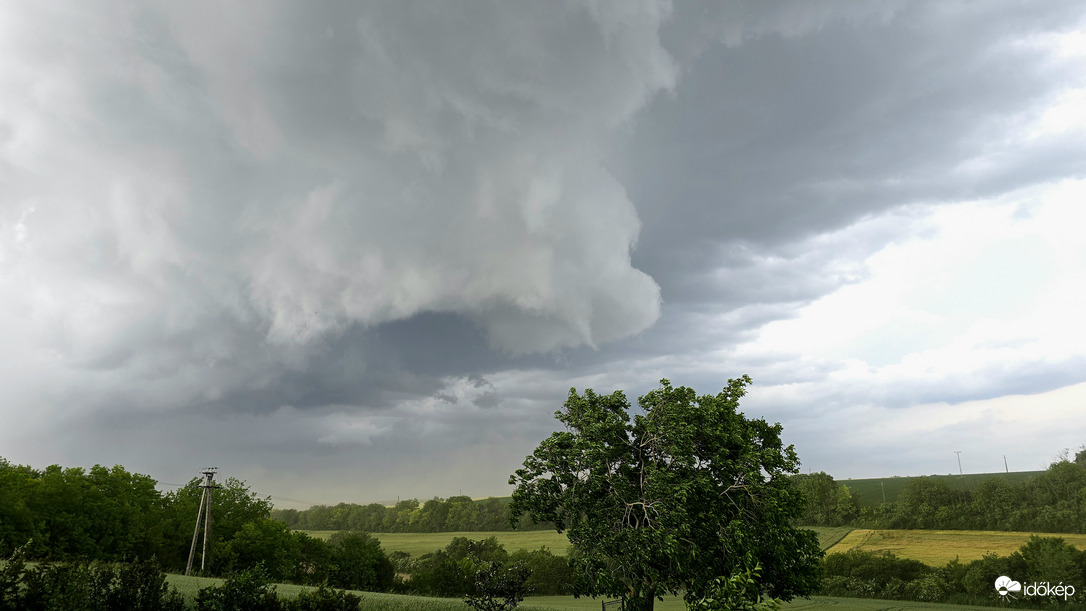 Észlelési fényképek