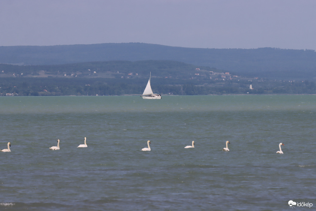Balaton