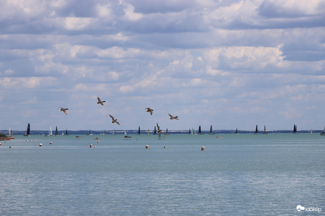 Balaton