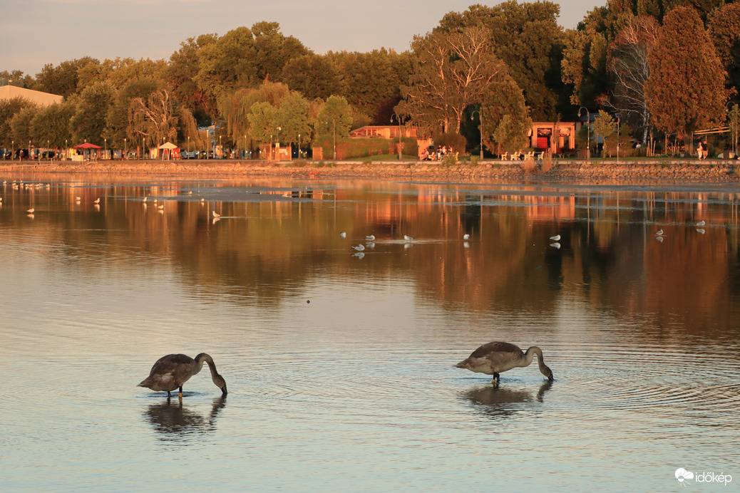 Balaton