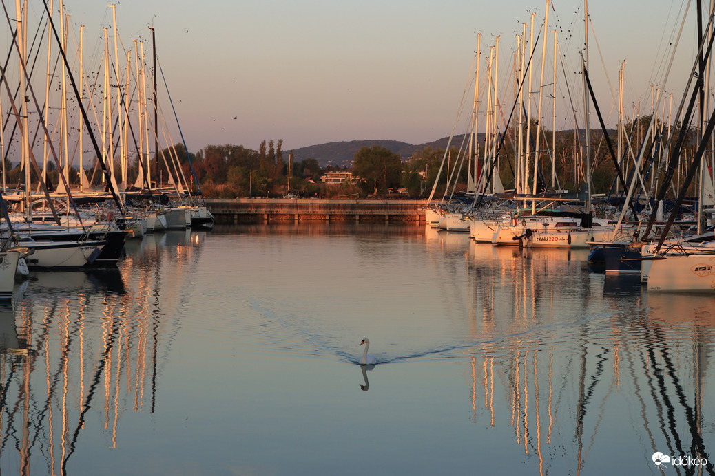 Balaton