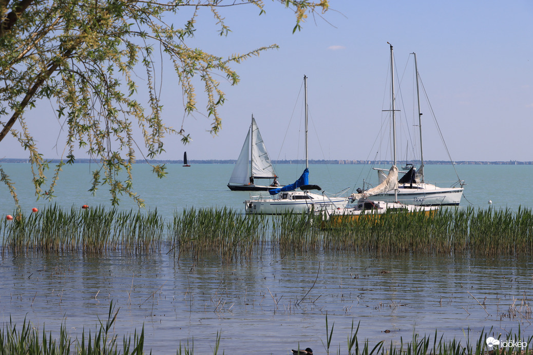 Balaton